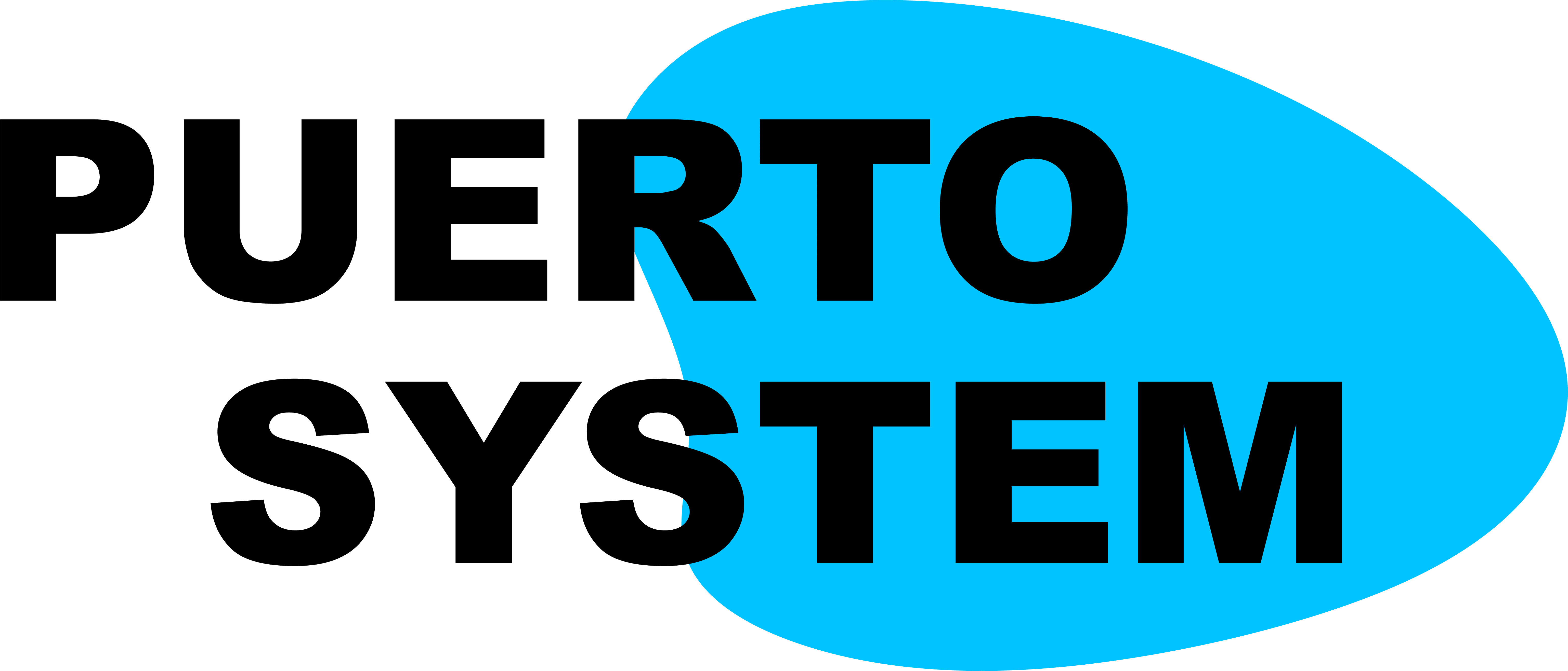 Puerto System